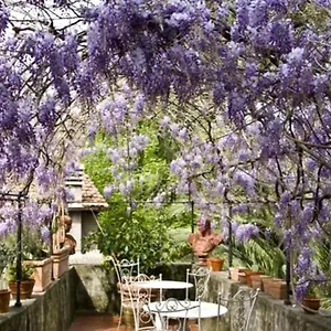 Appartamento Sant' Agostino, Lucca